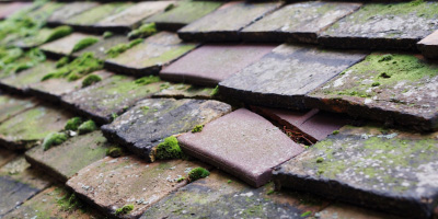 Cheddleton roof repair costs